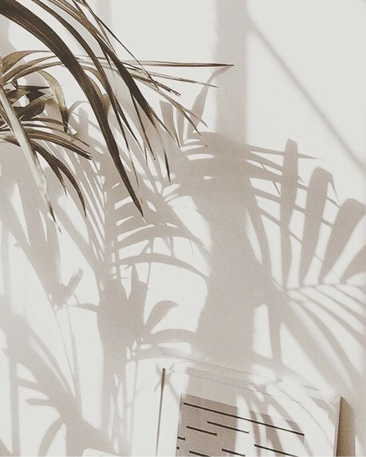 f32cb6fec25b8570a509ad215452a63e